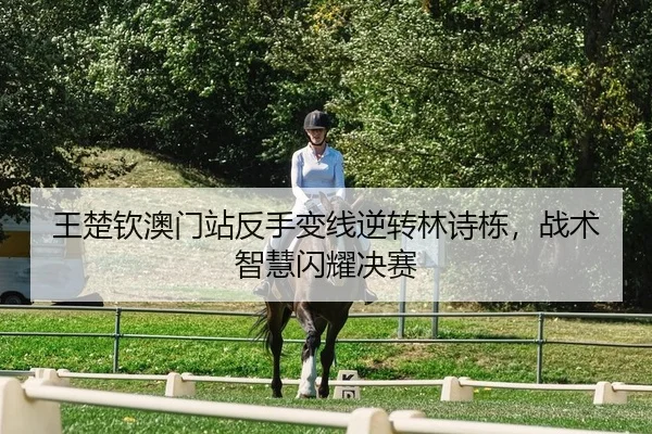 王楚钦澳门站反手变线逆转林诗栋，战术智慧闪耀决赛